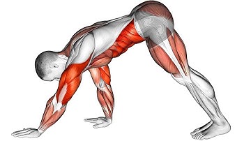 The best Way to Boost Testosterone Naturally | Morning Exercises 6 min only