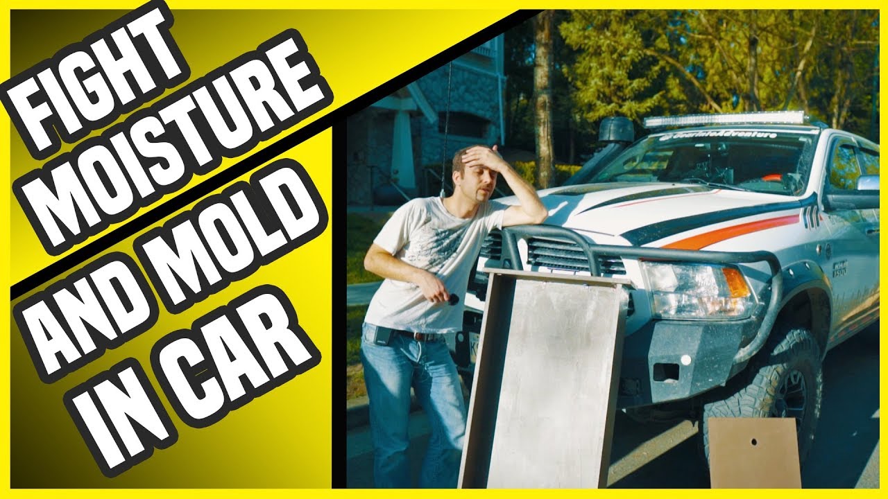Mold In Car Camper truck mold, condensation, mold paint! YouTube