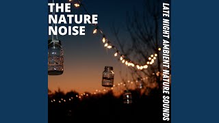 Light Rain Shower For Relaxing Or Sleep Aid
