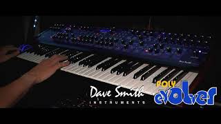 The Lost Child - Dave Smith Instruments Poly Evolver (STEREO)