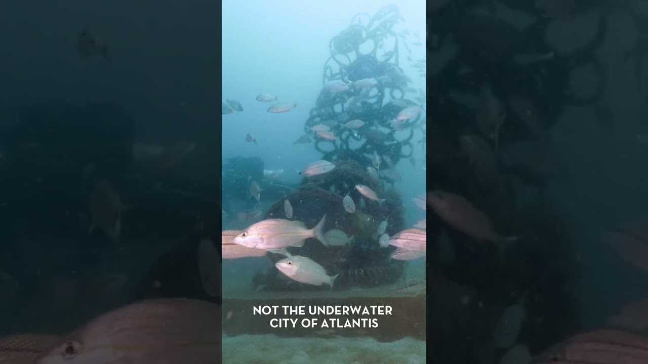 This is South Walton, Florida