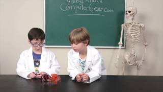 Hex Bugs Remote Controled Robots Demonstration