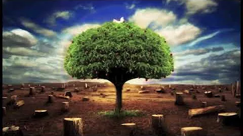 Cindy Trimm Prayer -  Entrepreneurial Declaration - Cindy Trimm 2017.mp4