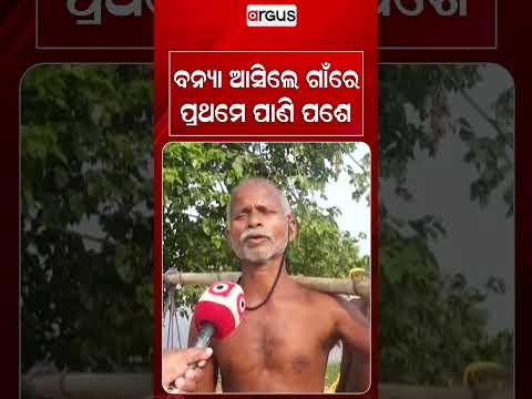 ବନ୍ୟା ଆସିଲେ ଗାଁରେ ପ୍ରଥମେ ପାଣି ପଶେ | Argus Reels | FloodAlert | VillageFlooded | NaturalDisaster