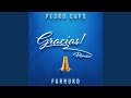 Miniature de la vidéo de la chanson Gracias (Remix)