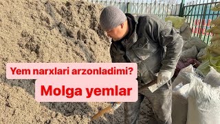 Yem narxlari arzonladimi,mol-qo’y uchun yemlar