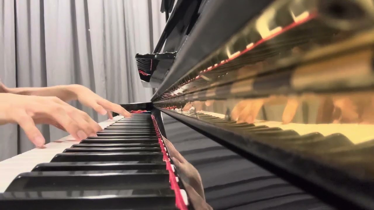 Avid (Animenz version)