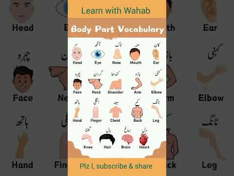 Anus Urdu Word Meaning In English