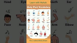 "Human Body Parts Vocabulary with Pictures & Urdu translation"#english#vocabulary#short#shortvideo