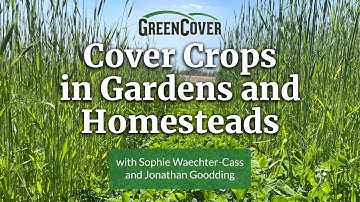 Cover Crops in Gardens and Homesteads