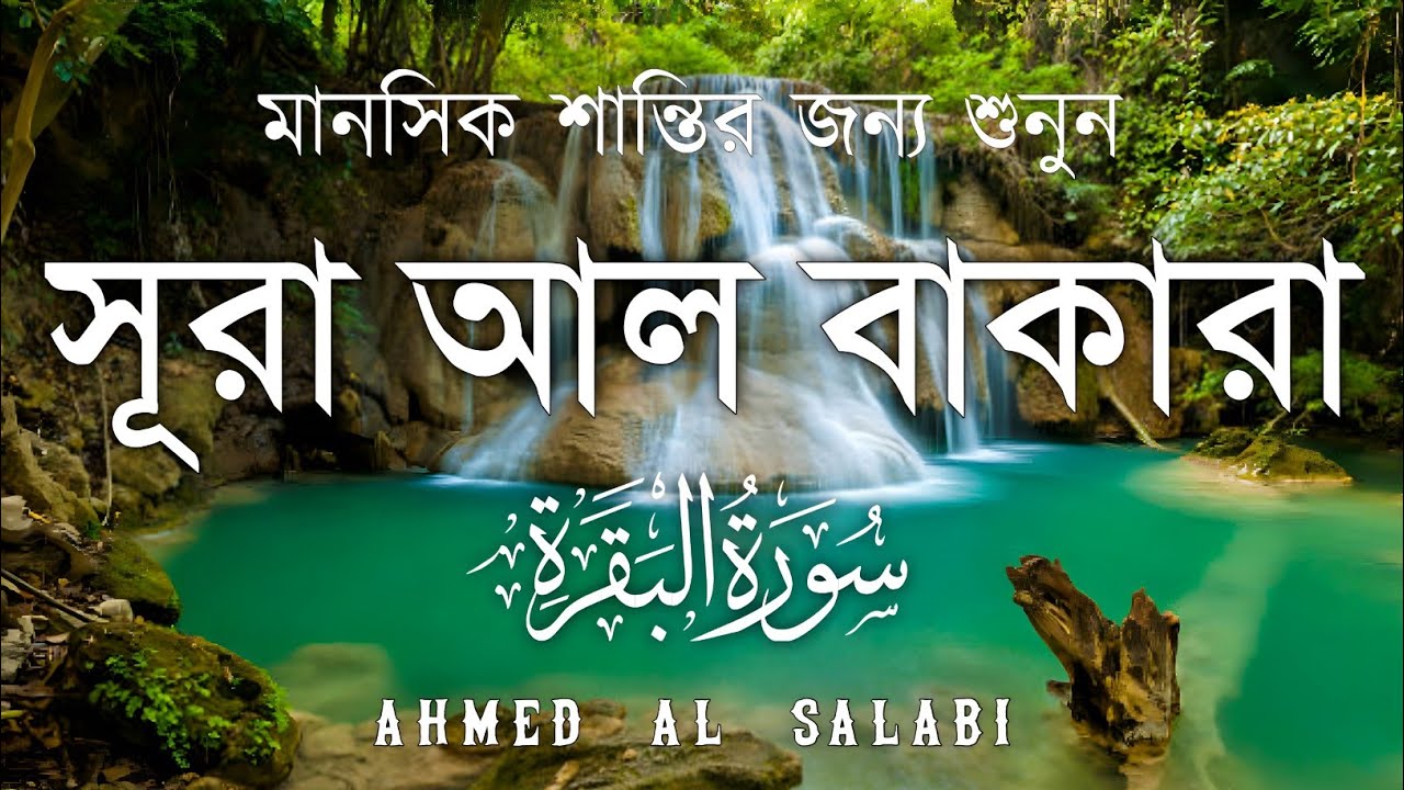 ঘরের উন্নতির জন্য সূরা বাকারা প্রতিদিন শুনুন I Surah Baqarah Full Quran Recitation | Ahmed Al Salabi