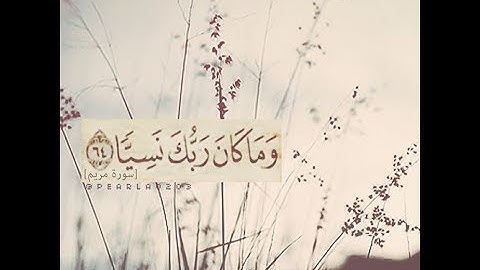 القارئ يوسف العيدروس سورة غافر