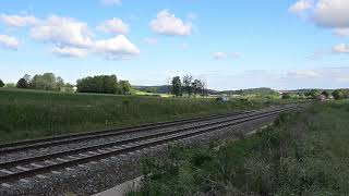 DSC 0245