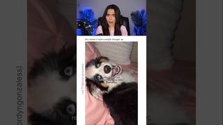 HER DOG IS A SATAN 😭