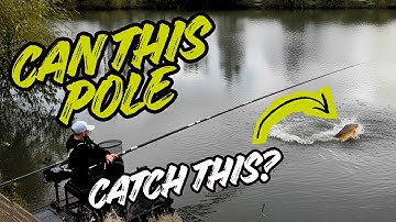 Can our top of the range pole handle these huge carp at Viaduct fishery?