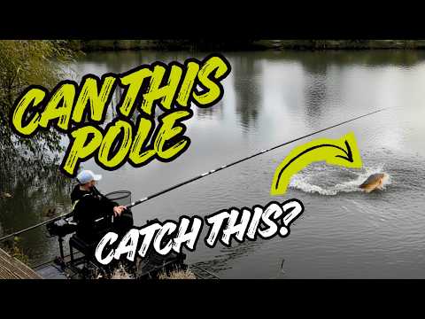best fishing pole 2018 uk xuejuanshop Reel Combos Raft Rod Micro-lead Raft Rod Titanium Alloy Raft Rod Ice Fishing Rod Short Telescopic Portable Fishing Rod Fishing Gear Set Sports & Outdoors Preston Superium X25 Pole 14.5m