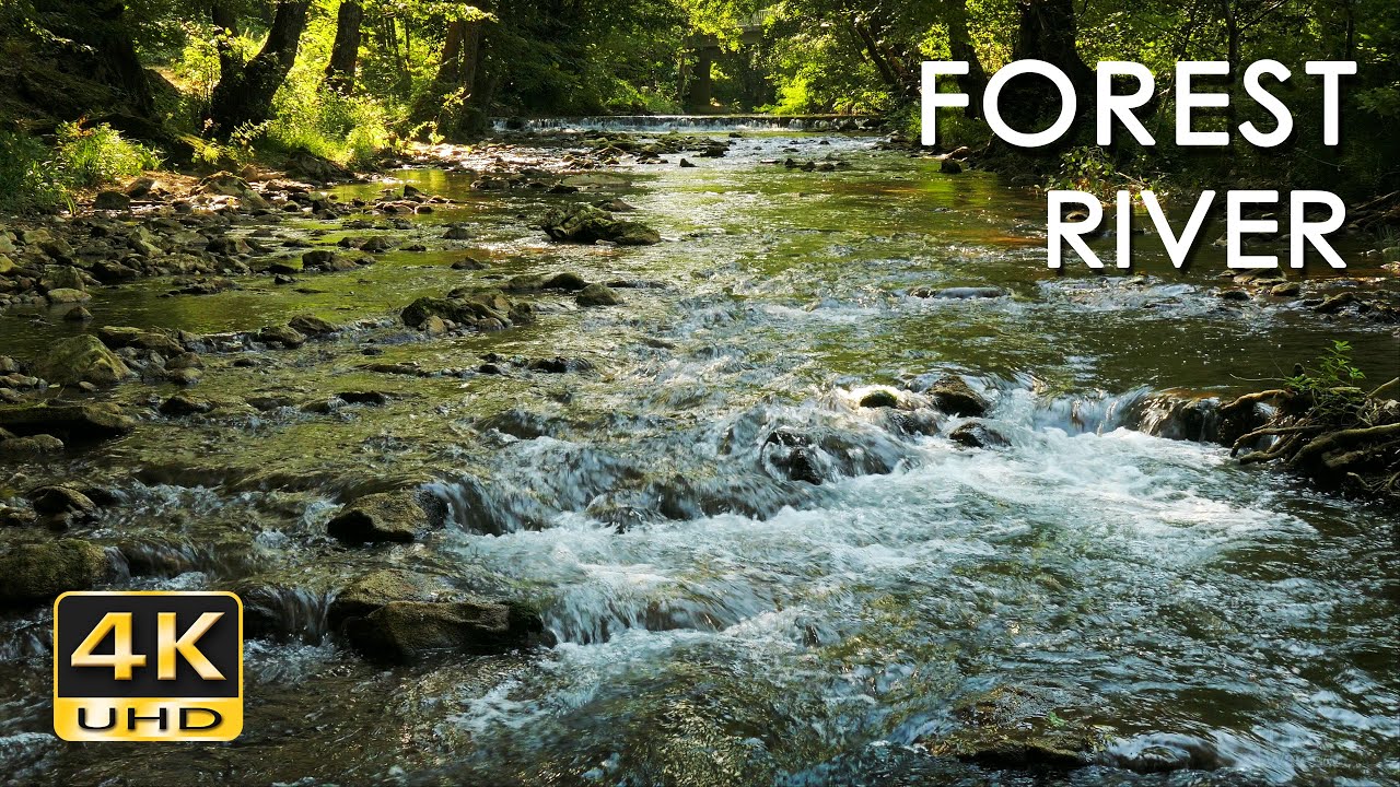 4K Forest River   Stream Sounds for Sleeping   No Birds   Relaxing Nature Video   Water Flowing 10 h