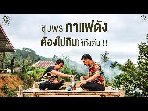 ชุมพร กาแฟดัง ต้องไปกินให้ถึงต้น! | เพลงบ้านเรา ชุมพร