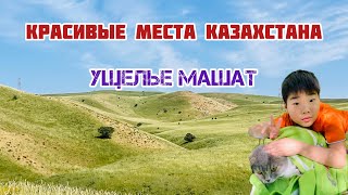 Едем На Маевку / Ущелье Машат/Красивая Природа Казахстана
