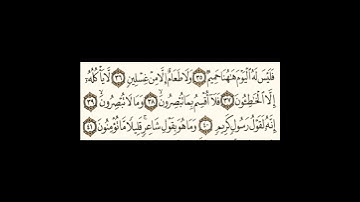 سورة الحاقة٣٥الى٤١ #اكسبلور #سورةالفاتحة #سورةالكوثر #دويتو #سورةالاخلاص #ترند #سورةالفلق #تيك_توك