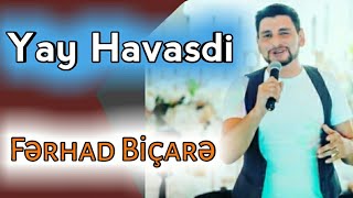 Ferhad Bicare - Yay Havasidi  2020  Resimi