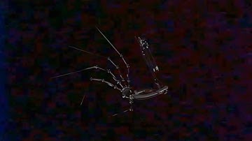 Poppy Playtime: Chapter 3 - SECRET PROTOTYPE VHS TAPE