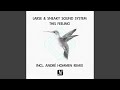Miniature de la vidéo de la chanson This Feeling (André Hommen Vocal Mix)