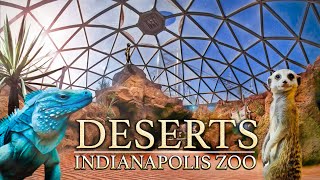 Zoo Tours: The Desert Dome | Indianapolis Zoo