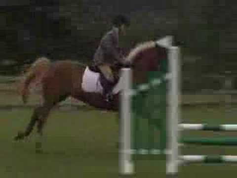 SHOW JUMPING AT MILNER DOWNS 2