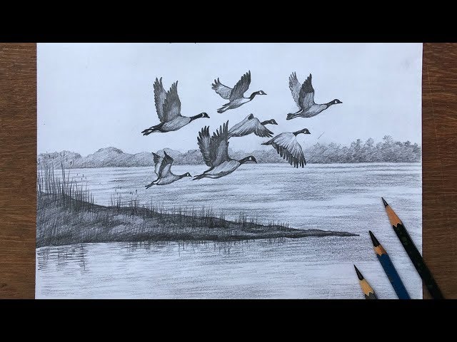 how to draw easy bird and flowers step by step with pencil sketch for  beginners,easy bird drawing - YouTube
