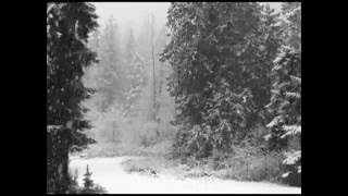 Christmas zouk- Noel