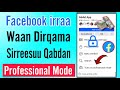 Facebook Irraa Waan Dirqama Sirreessuu Qabdan Professional Mode