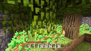 Minecraft for Xbox 360 #84 - Tree Farming (Wood Farming) Tutorial