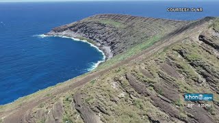 Hawaii seabirds now safe to nest on Lehua Island after it's declared rat-free