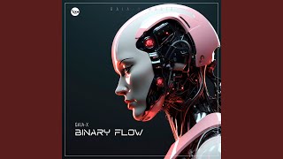 Binary Flow