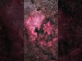 North America Nebula Through My Telescope 5 28 2025 #space #astronomy #astrophotography #telescope