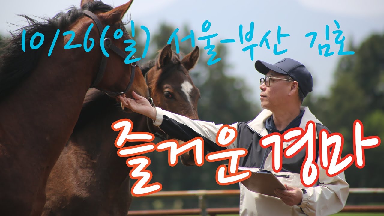 김호경마 10월 26일 일요일 서울경마방송