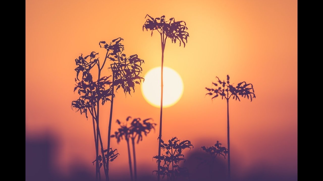 meditation relax music mp3 Music for Peace: Meditation Music, Peaceful Music, Healing Music, Soothing Music 🌄
