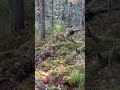 #отдых #nature #природа #природныепейзажи