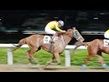 #浦和競馬 #4日目 #浦和トワイライト1930 #浦和2000ラウンド 福原杏騎手🏇Niceぅ😃💪今日も勝利だぁー✌　#第12r #武甲山特別　#勝利 5番リョウタスペシャル号🐴福原杏騎手🏇Nice
