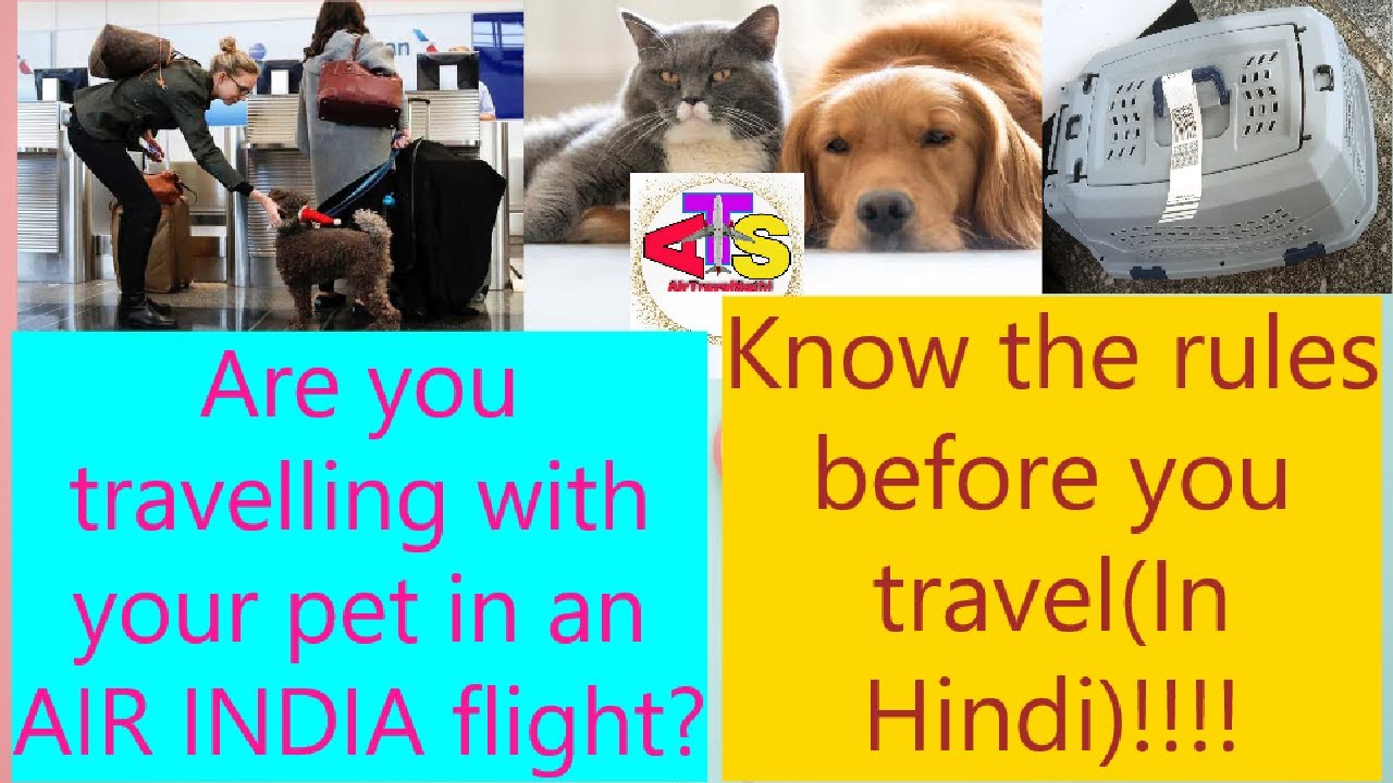 Air India pet carriage policy. Travelling with pet? pets petcarrier 