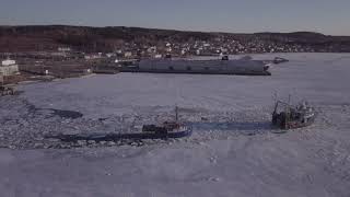 Lewisporte Fishing fleet breaking up the sea ice in the harbour...