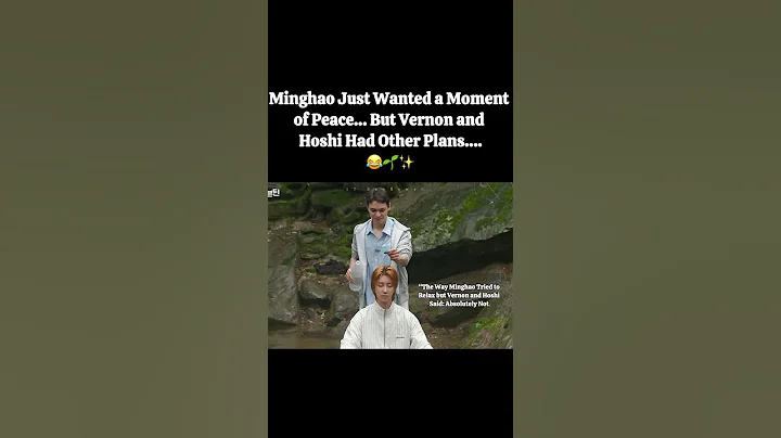 Minghao😌Just Wanted Quiet #seventeen #goingseventeen #minwon #mingyu #seventeenedit #scoups