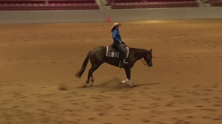 210222 Novice Horse Open Heather Servies on Play R...