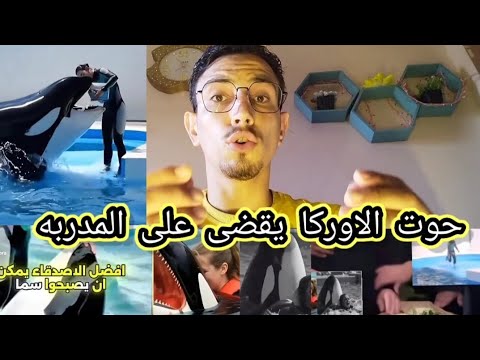 هجوم حوت الاوركا على جيسيكا المدربه أثناء العرض والقضاء عليها الاوركا قتل صديقته المدربه جيسيكا