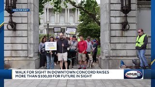 Walk for Sight in Concord raises more than $100,000 for Future in Sight