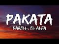 Darell El Alfa PAKATA mp3