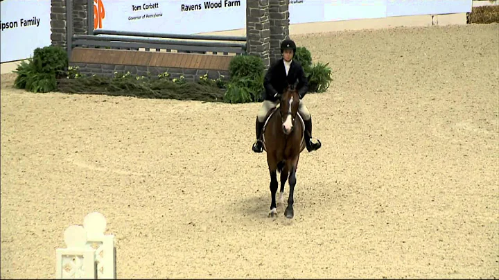 180 FERN GULLY   Stephanie Zimmerman   Amateur Owner Hunter 36 & Over   Handy