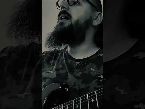 Warrant Andy Warhol Was Right Cover 