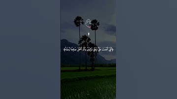 فتبسم ضاحكا من قولها #ادريس_ابكر #سورة_النمل #القرآن_الكريم #quran #استخدم_الصوت